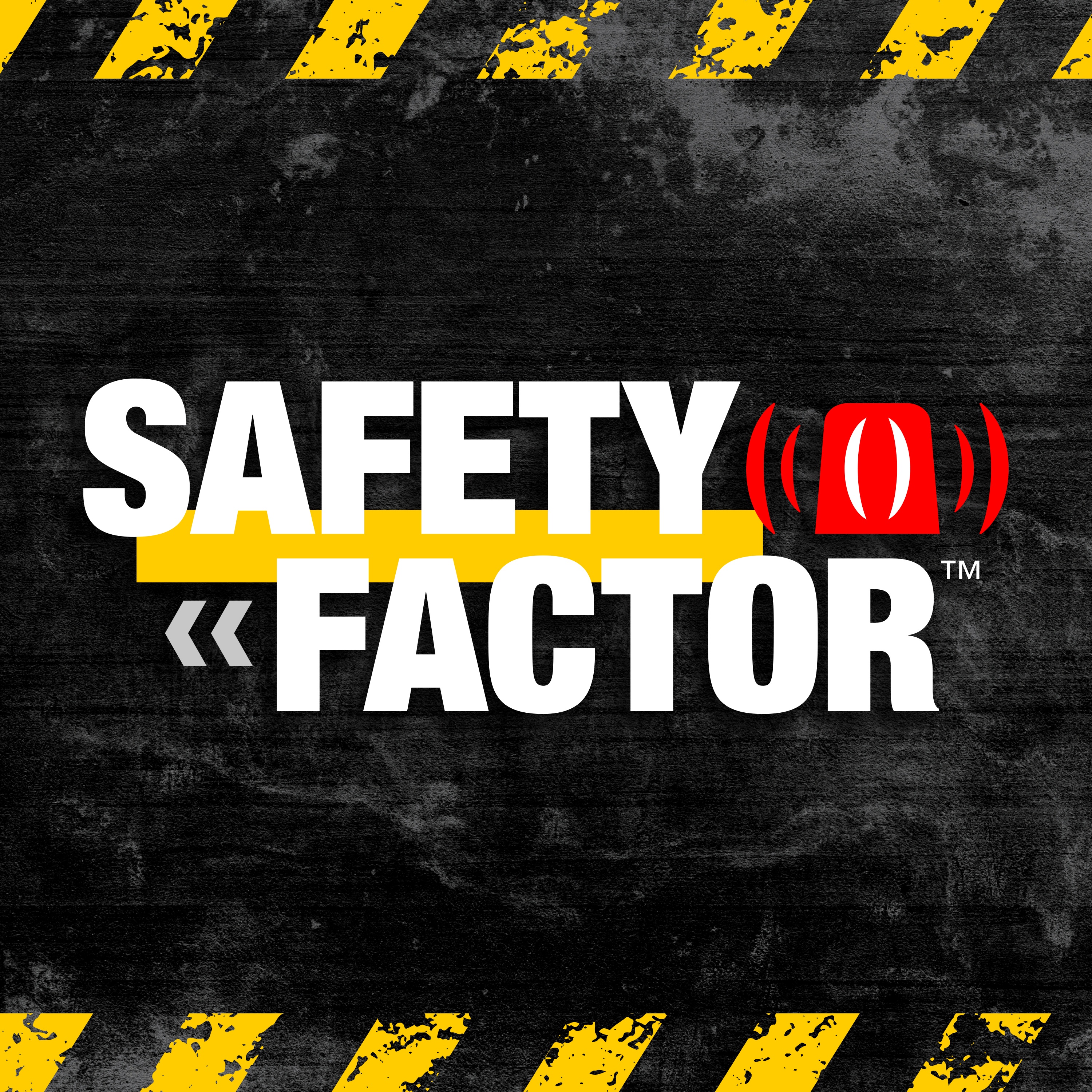 Safety Factor