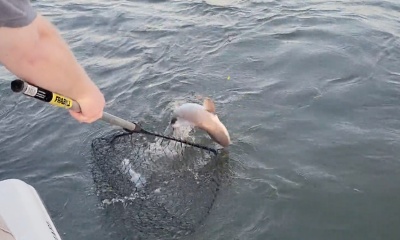 Port Orange Report Video 1