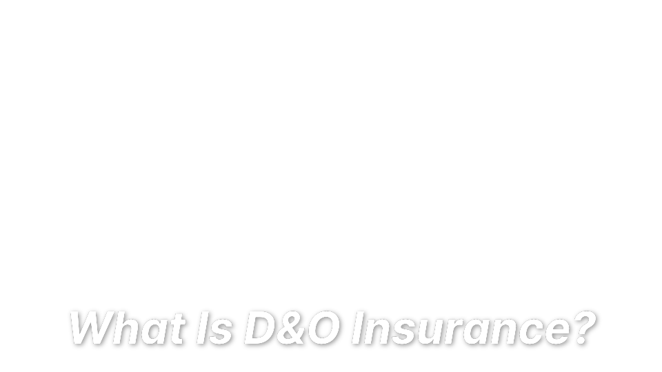 


What Is D&amp;O Insurance?