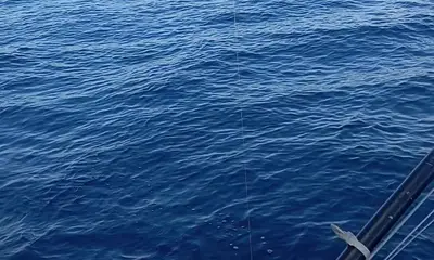 Great experience for our first time fishing in Costa Rica