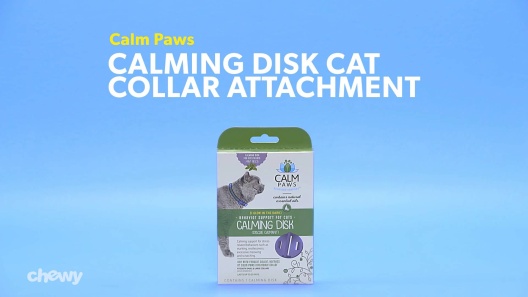 Play Video: Learn More About Calm Paws From Our Team of Experts
