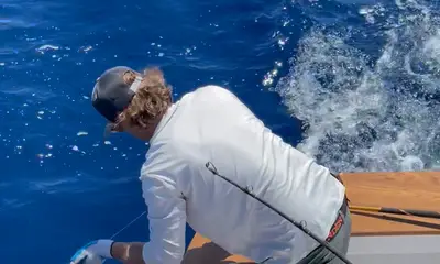 The End Game to a Tuna Fight