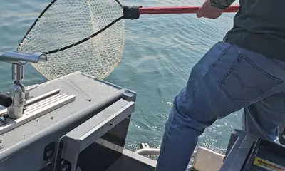 Lakeside Marblehead Report Video 0