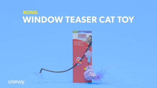 KONG Teaser Fishing Pole Assorted Cat Toys