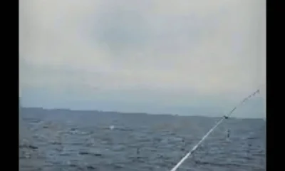 Norfolk Bericht Video 0