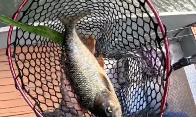 El Castillo Report Video 0