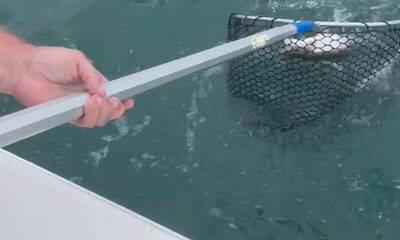Catawba Island Report Video 1