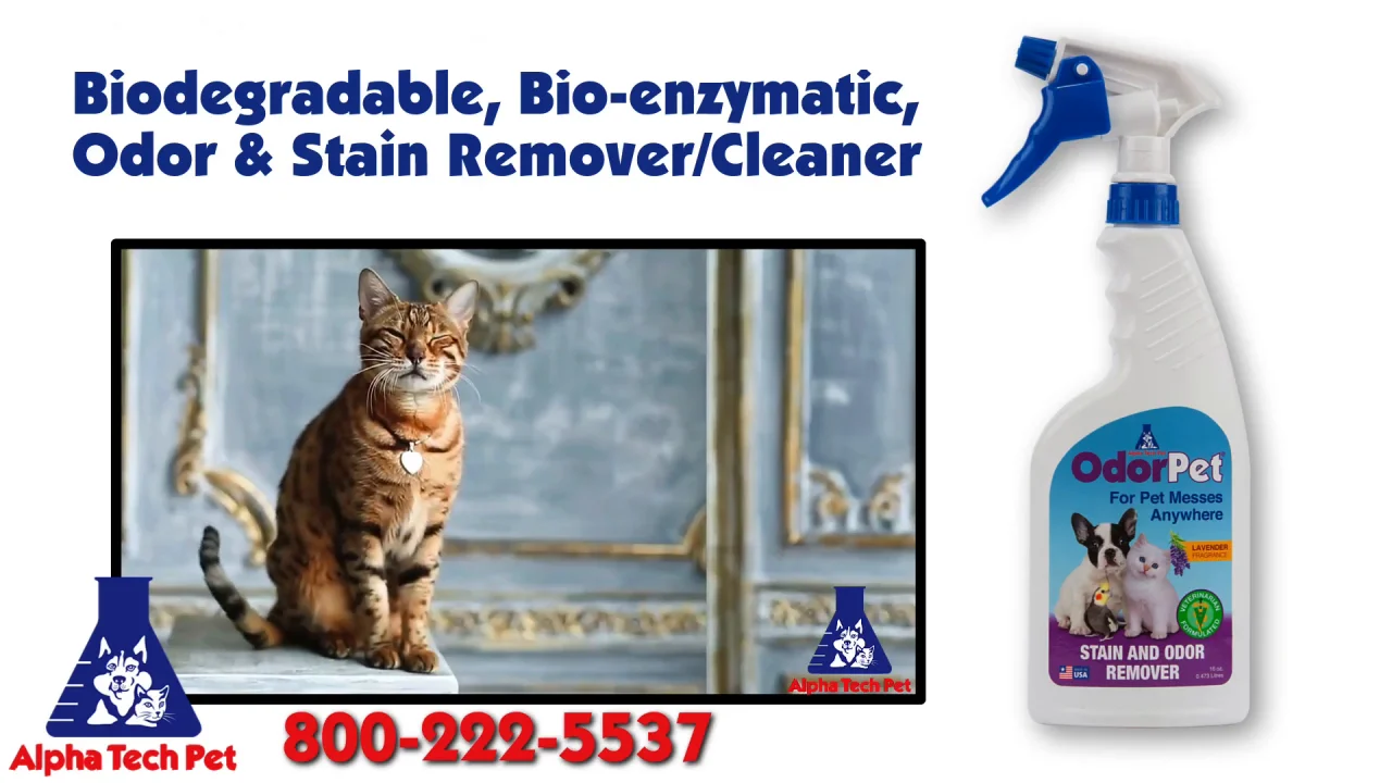 Multi Purpose Cleaner Pet Odor Eliminator - PH Neutral - Strong Odor Floor Cleaner - Pet Odor Eliminator for Home - Best Scent Remover for Cat and
