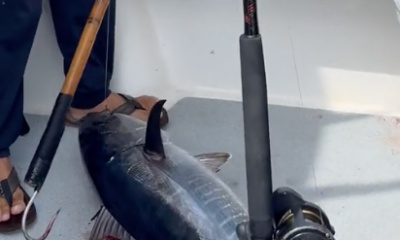 Great Fishing at Coronados