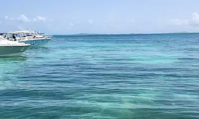 Great Trip!