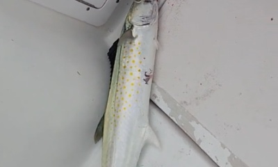 Panama City Report Video 1