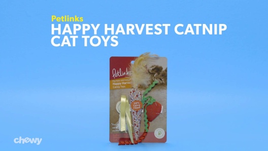 Play Video: Learn More About Petlinks From Our Team of Experts