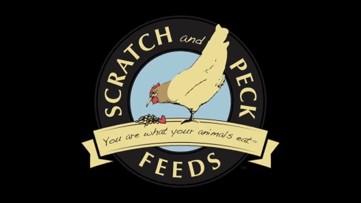Play Video: Learn More About Scratch and Peck Feeds From Our Team of Experts