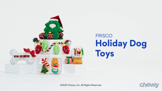 Play Video: Learn More About Frisco From Our Team of Experts
