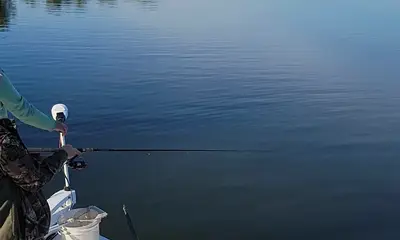 Sightfishing brackish estuary for Red Drum and Spotted Sea Trout