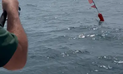 Point Pleasant Report Video 0