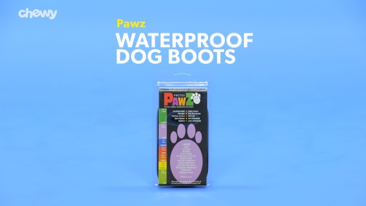 Play Video: Learn More About Pawz From Our Team of Experts
