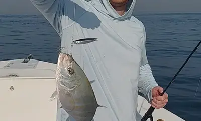 Dubai Report Video 0