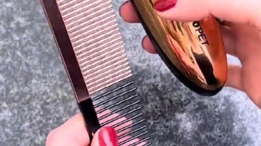 Play Video: Learn More About Babyliss Pro Pet From Our Team of Experts
