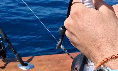 Dana Point Report Video 0