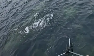 Sweden Report Video 0