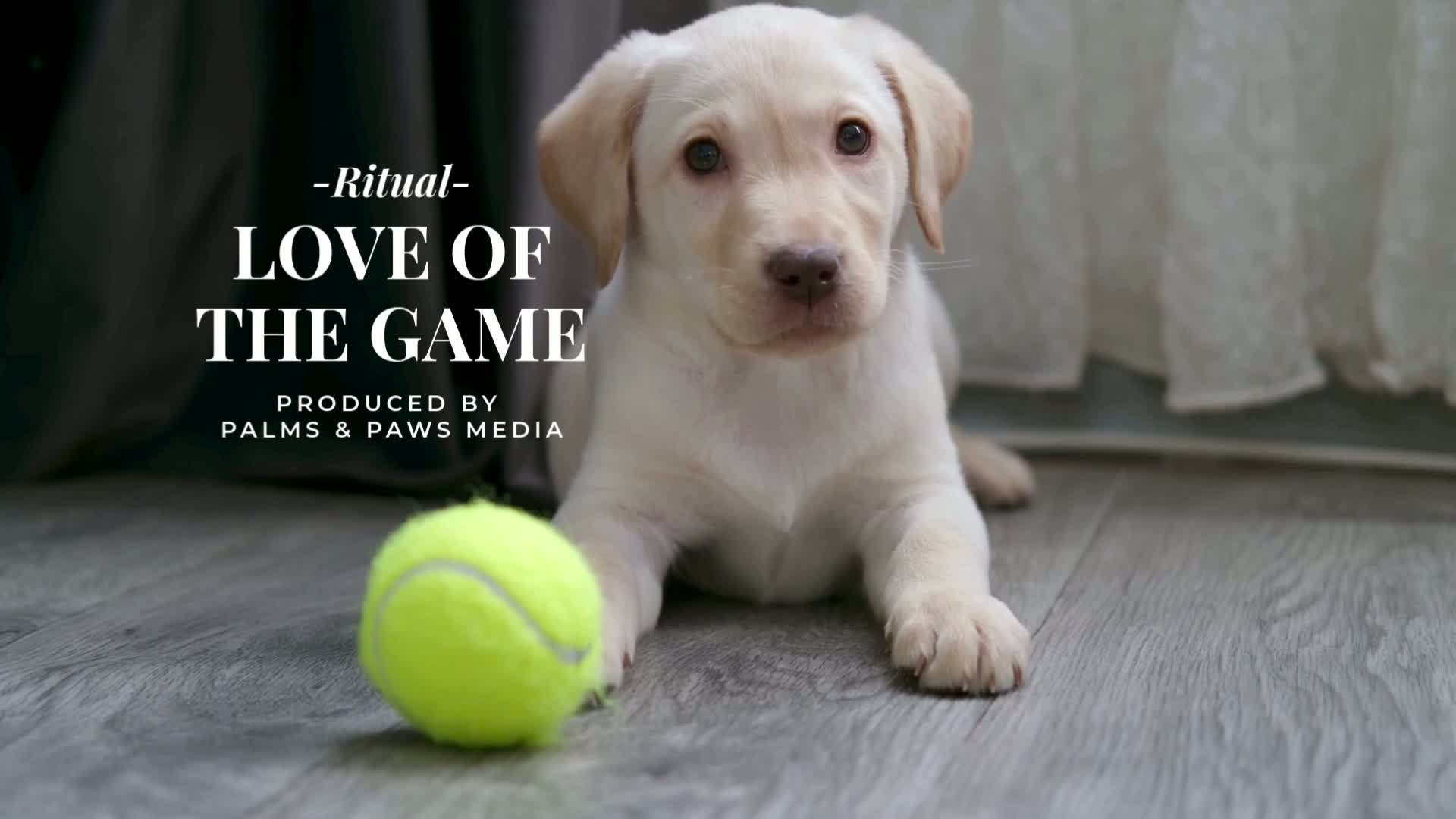 The Love of the Game