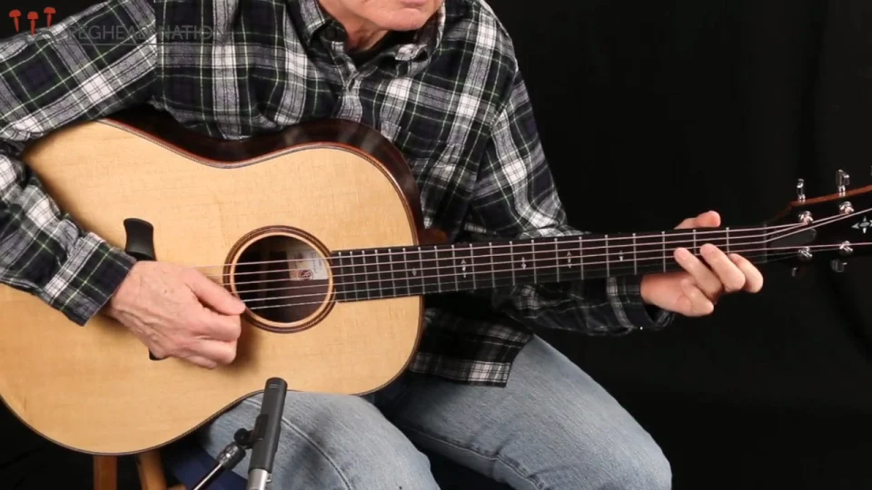 Taylor Builder's Edition 717 - Peghead Nation