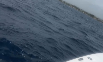 Awesome trip!!!  Tight lines throughout the trip, and the Captain Carlos stated that it was slow .