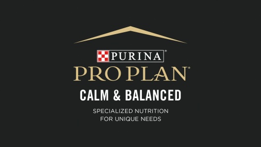 Play Video: Learn More About Purina Pro Plan From Our Team of Experts