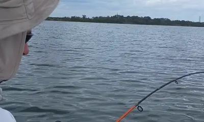 San Antonio Report Video 1