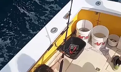 Wanchese Report Video 0