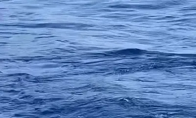 Calheta Report Video 0