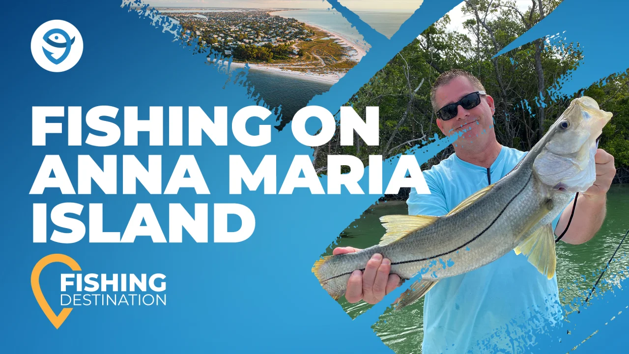 Fishing in ANNA MARIA ISLAND: The Complete Guide