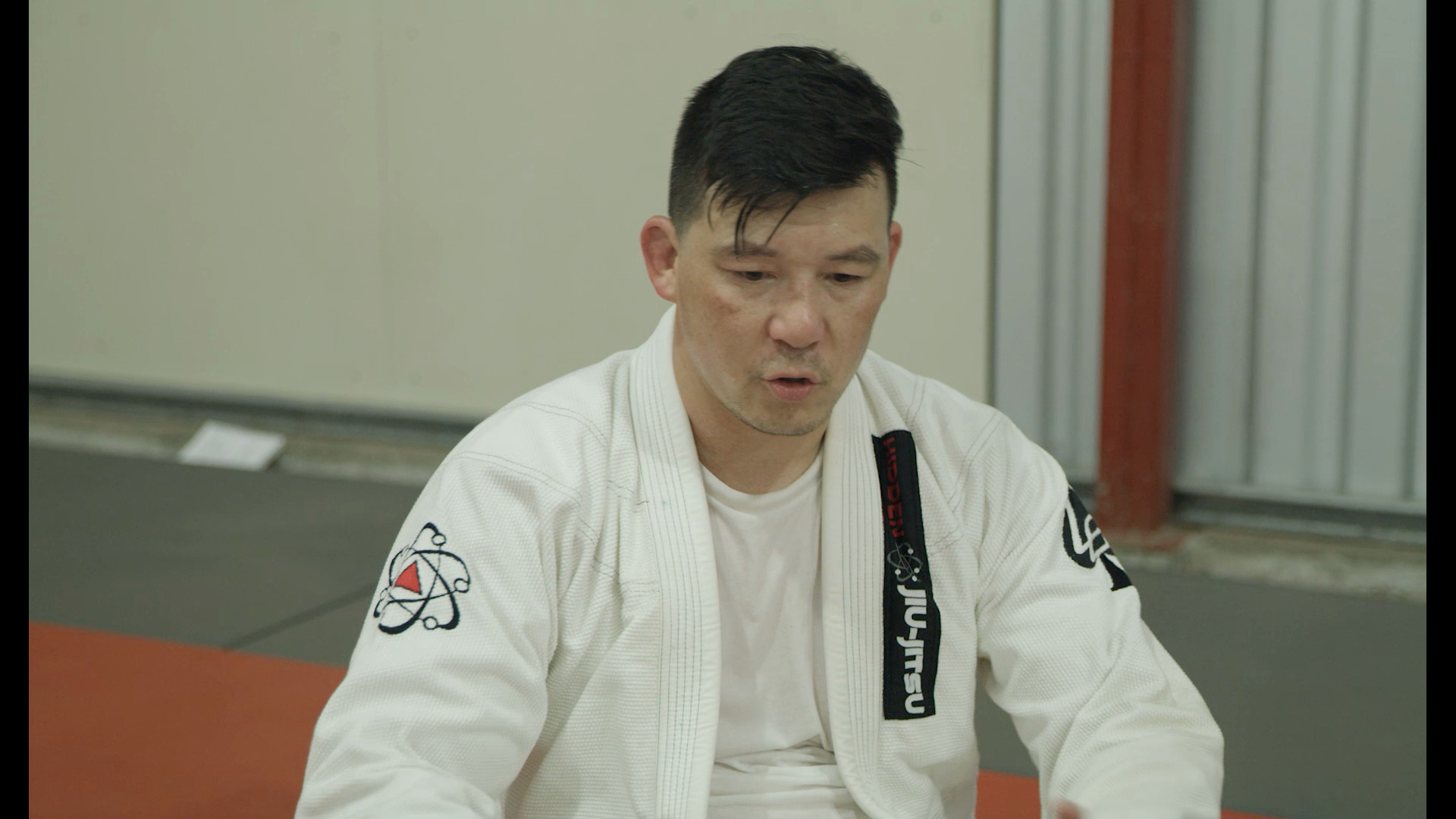 Hidden BJJ Secrets By Luiz Panza　柔術　BJJ Hidden BJJ Secrets By Luiz Panza 柔術 BJJ スポーツ・フィットネス