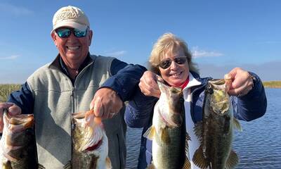 THE BIG CHILL!! - South Bay Fishing Report - FishingBooker