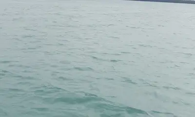 great trip wonderful value