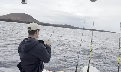 Las Galletas Report Video 0