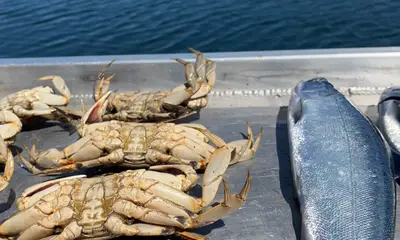 Sooke Report Video 0