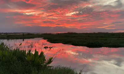 Fishing with William