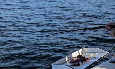 Great first time experience fishing on the gulf!