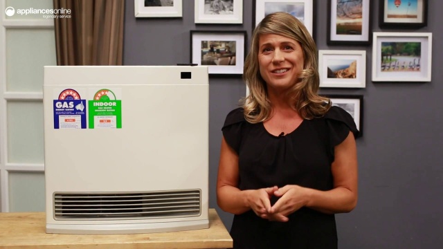 Rinnai Dynamo Natural Gas Heater DY15N | Appliances Online