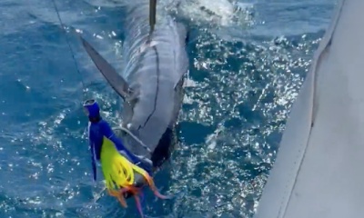 Placencia Report Video 0