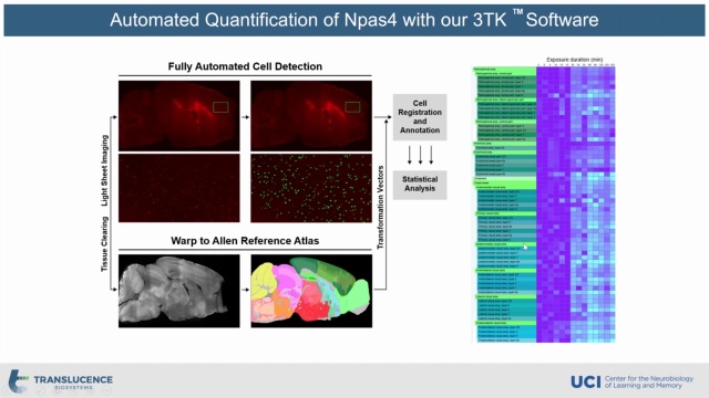 Brain-Wide Neural Quantification via Light Sheet Microscopy: Sunil Gandhi