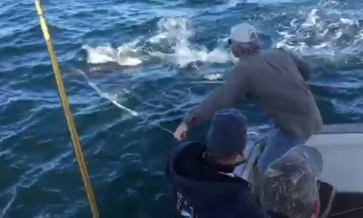 Gloucester Report Video 0