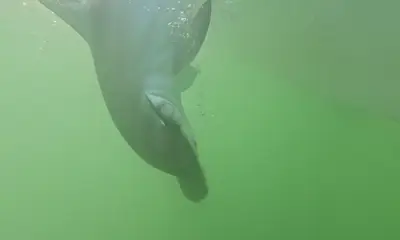 Best Fishing trip ever