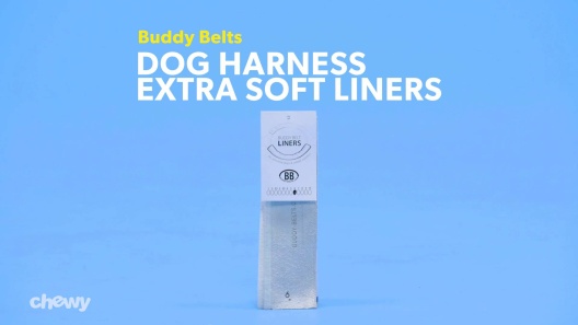 Play Video: Learn More About Buddy Belts From Our Team of Experts