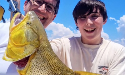 Tigre Report Video 0