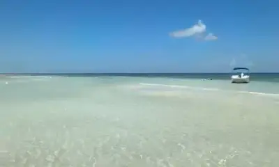 Best trip ever!