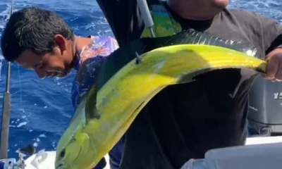 Puerto Aventuras Report Video 0