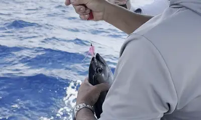 Catching not fishing